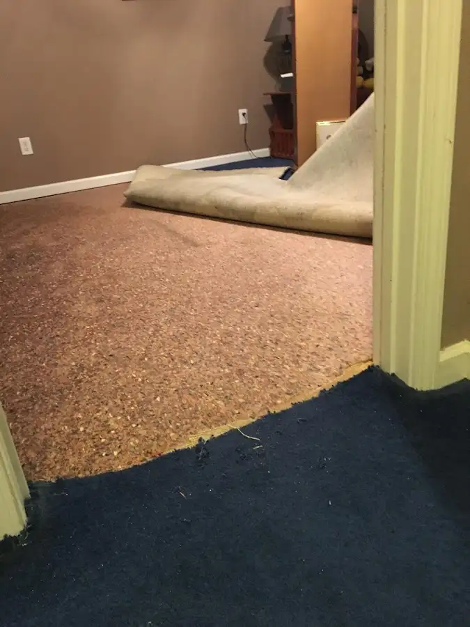 Carpet pad removal revealing water damage during Water Mitigation Services in North Hills