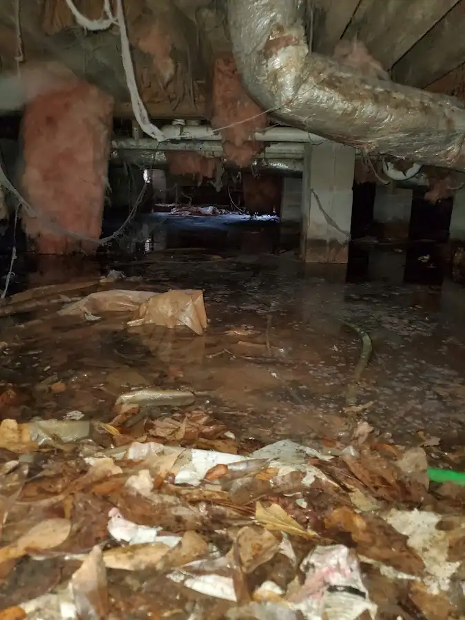 Crawl space flood assessment for Commercial Water Damage Restoration in North Hills