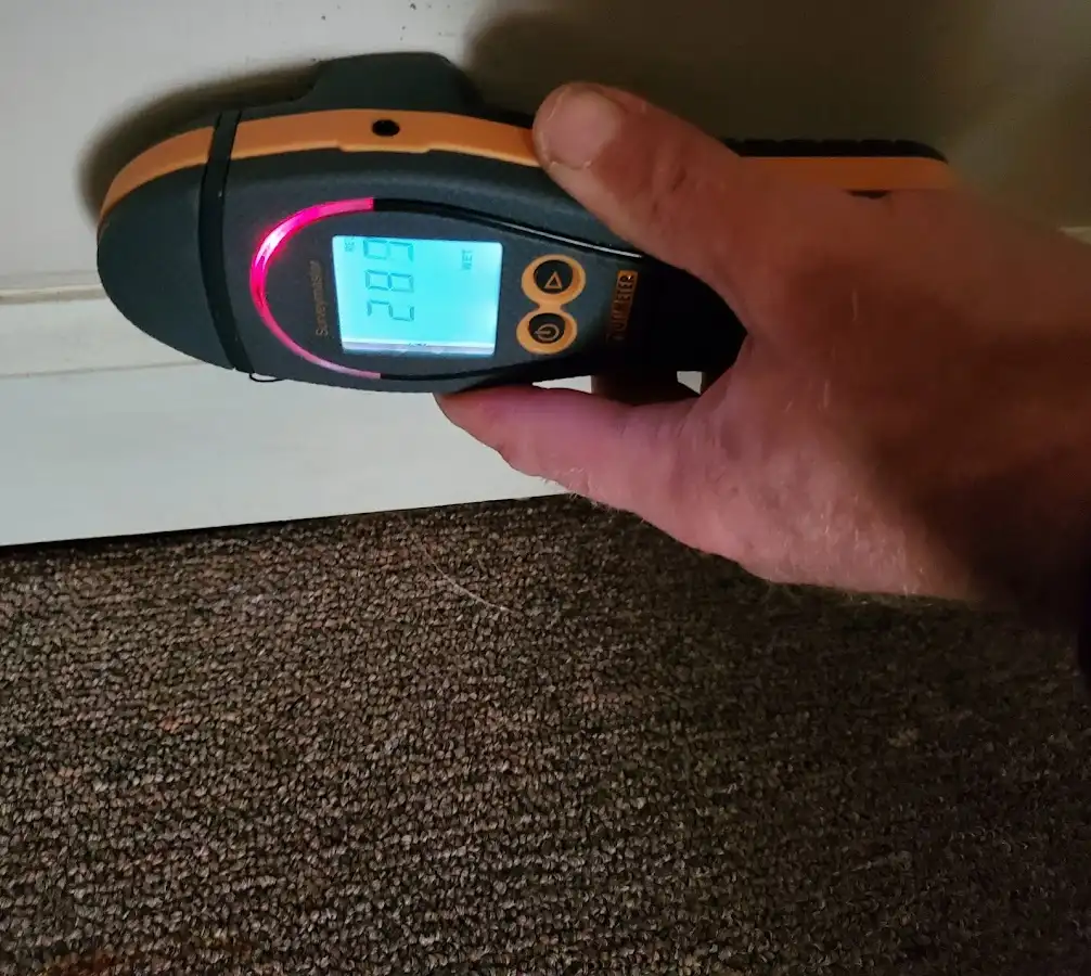 Moisture detection at baseboard during Sewage Cleanup & Sanitation in North Hills
